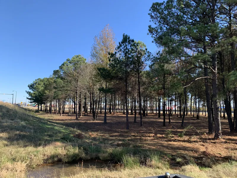 Land clearing project by DRT Land Management in Central Arkansas, Image 2