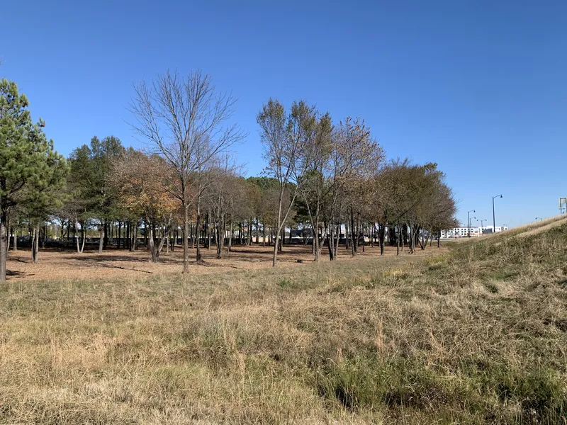 Land clearing project by DRT Land Management in Central Arkansas, Image 4