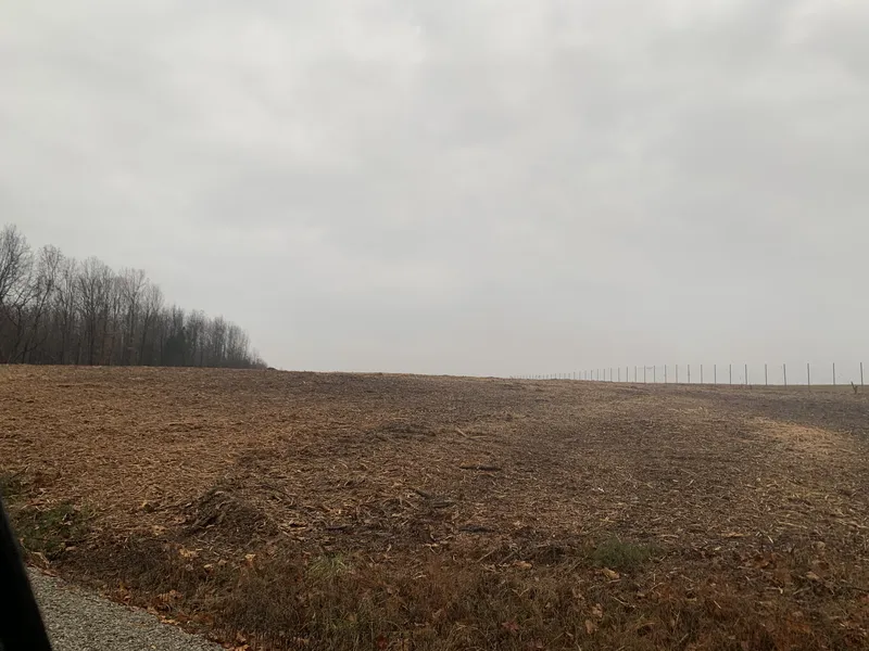 Land clearing project by DRT Land Management in Central Arkansas, Image 6