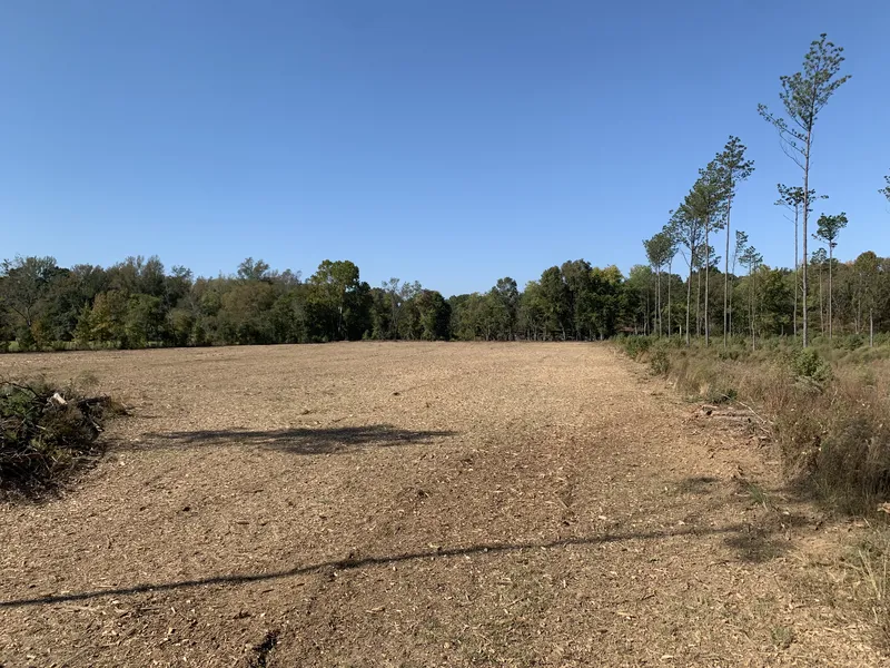 Land clearing project by DRT Land Management in Central Arkansas, Image 11