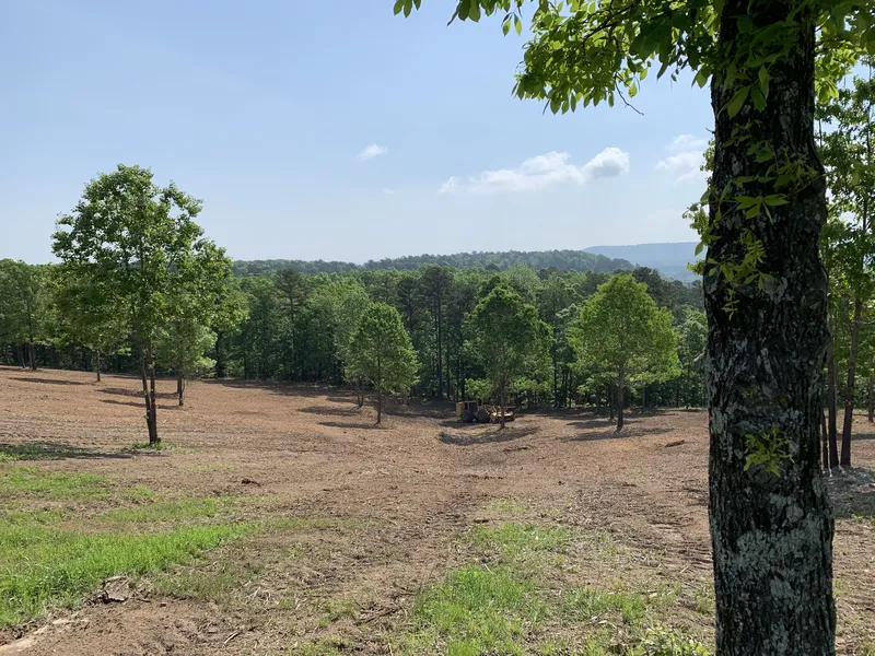 Land clearing project by DRT Land Management in Central Arkansas, Image 15